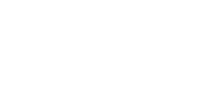 Feminine Fire Logo